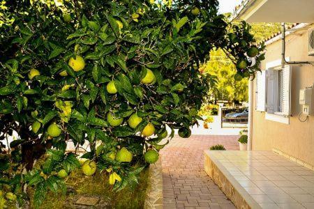 Cottage Sakkatos Dhavgáta Екстериор снимка